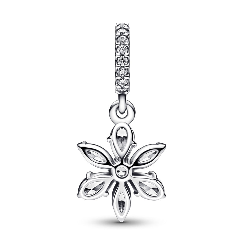 Charm Conjunto de Herbario