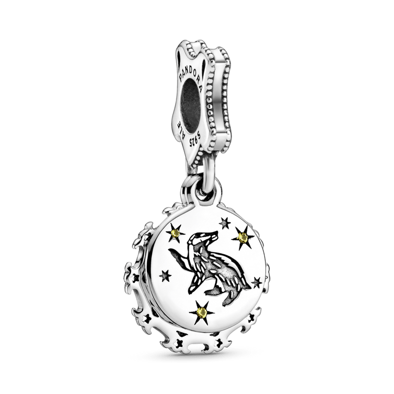 Charms Casa de Hogwarts - Harry Potter [ENCOMENDA]
