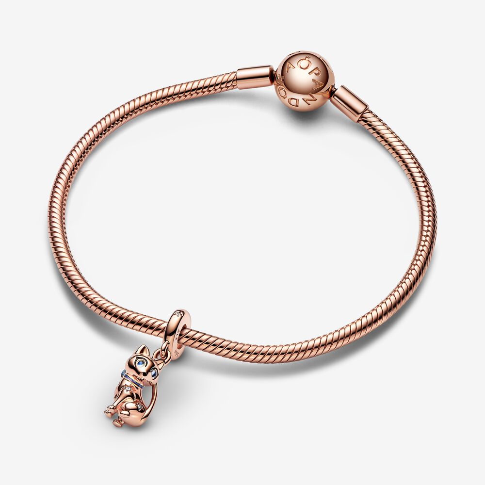 Charm Brilhante Gato de Estimação [ENCOMENDA]