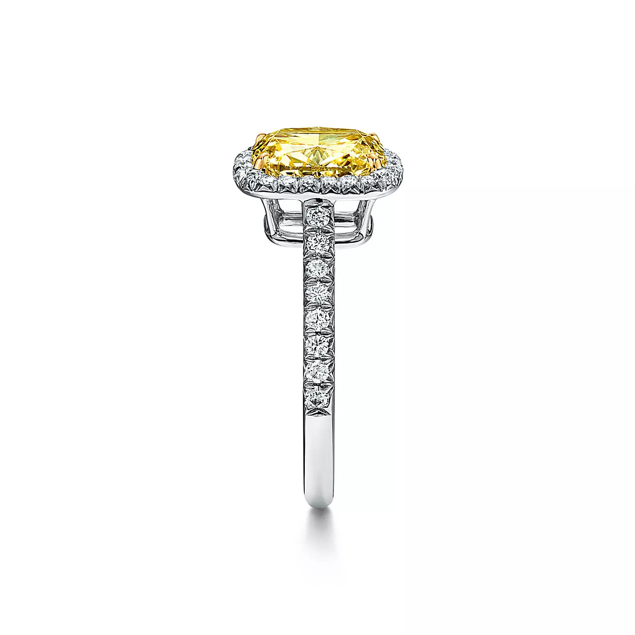 Anel de Noivado Fancy Vivid [ENCOMENDA]