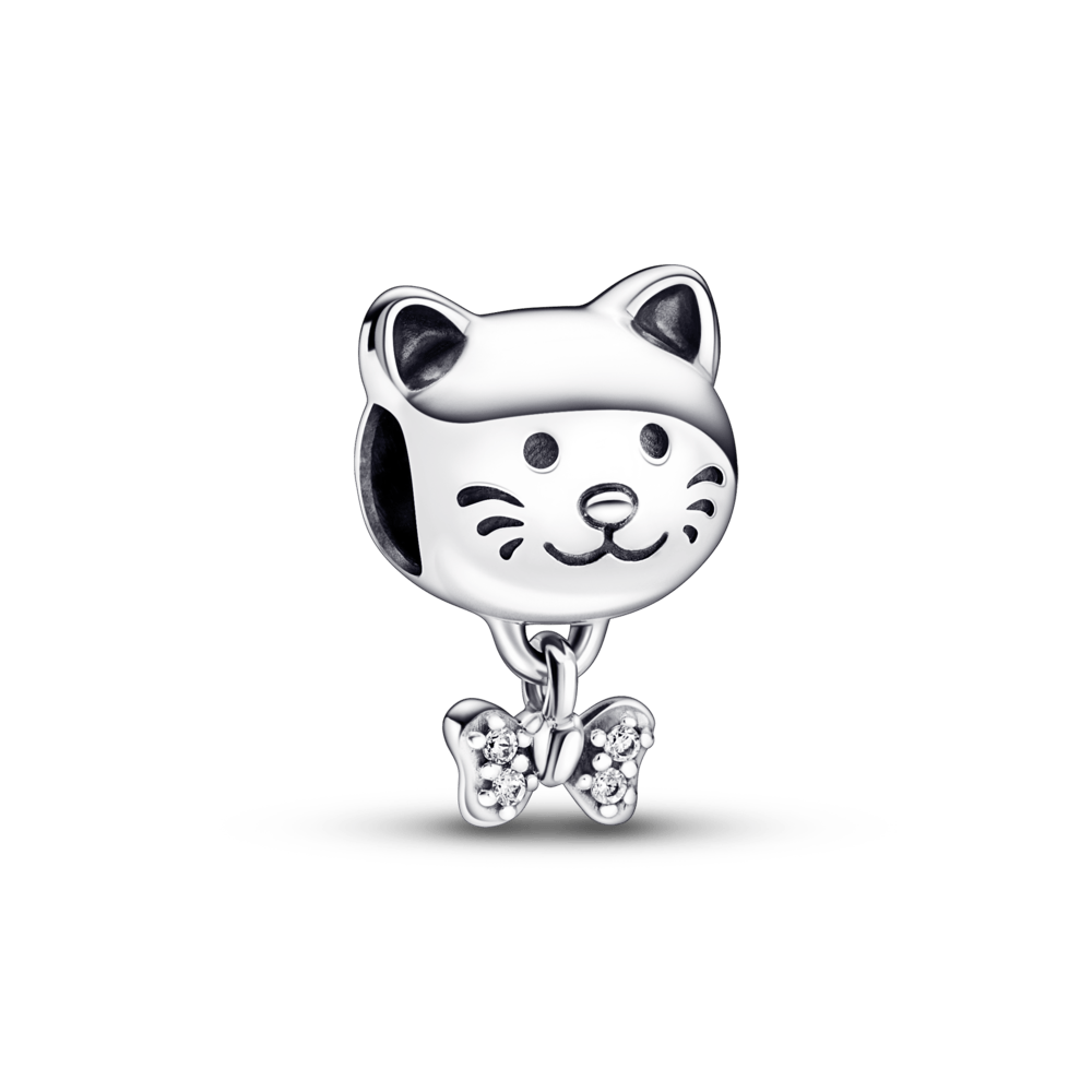 Charm Gato de Estimação e Lacinho