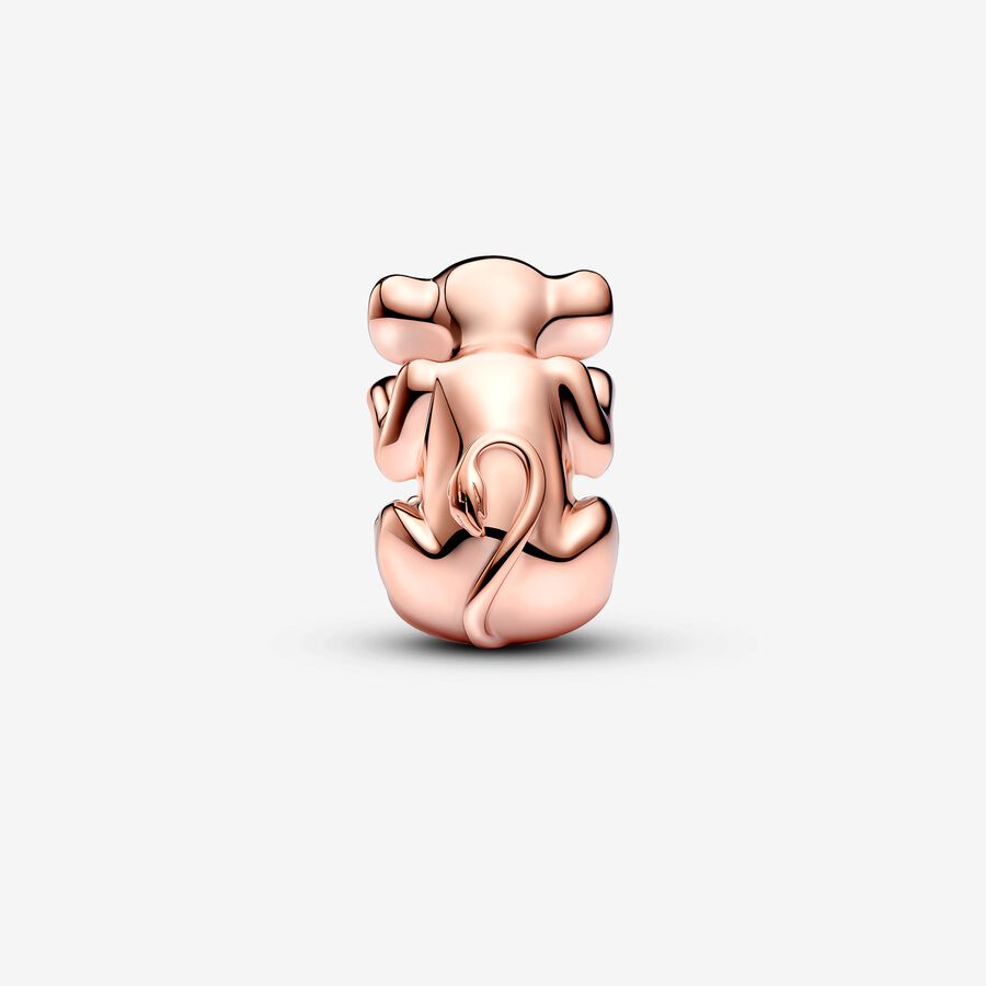 Charm Nala [ENCOMENDA]