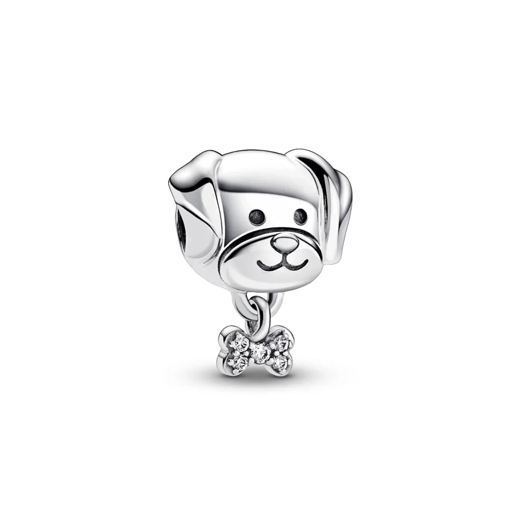 Charm De Caozinho E Osso